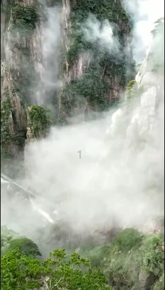 曾下山向村民求助的15岁大熊猫去世。工作人员:年龄偏大,因多器官衰竭去世